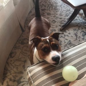 Meet your Posher, Cathy